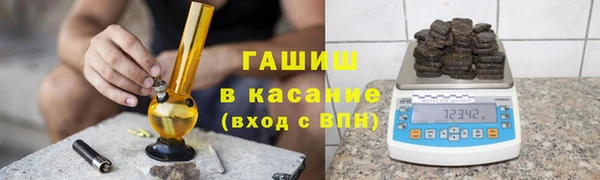 прущие грибы Бородино