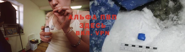 прущие грибы Бородино