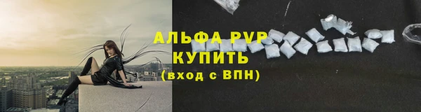 прущие грибы Бородино