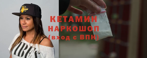 прущие грибы Бородино