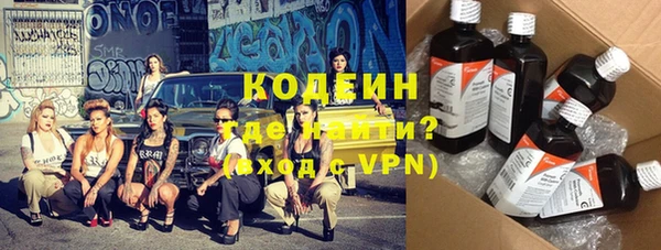 прущие грибы Бородино