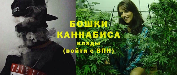 прущие грибы Бородино
