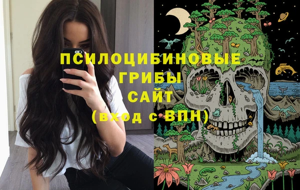 марки lsd Бугульма