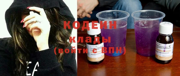 прущие грибы Бородино