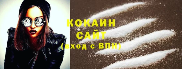 прущие грибы Бородино